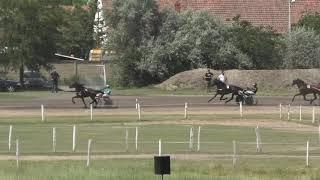 Trka "Kvalifikacija za Derby-I" 01.08.2021 Marko - Dalibor Suknović