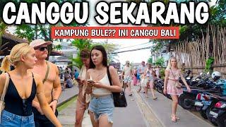 THE SITUATION IN CANGGU BALI IS GETTING BETTER - CANGGU BALI NOW