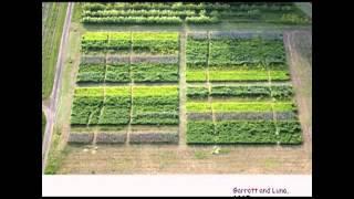Estimating Plant-Available Nitrogen Contribution from Cover Crops