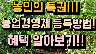 농민의 특권!!! 농업경영체 등록방법과 혜택 파헤치기!!농부라면 농업인경영체 등록은 필수!