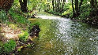 Poland is beautiful - Rudawa River in Cracow