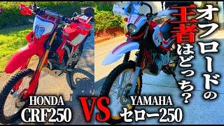 【徹底比較】ホンダCRF250 vs ヤマハセロー250：どちらがオフロードの王者？ライダー目線で徹底レビュー！【MotoVlog#149】