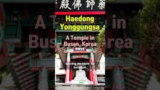 Haedong Yonggungsa - The harmony of the sea, the dragon, and the Gwaneum Great Buddha