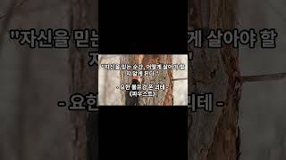매일 성공을 위한 명언 5가지 - 미라클 1분 #명언 #동기부여 #지식