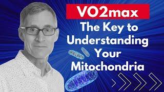 VO2 Max: The Key to Understanding Your Mitochondria