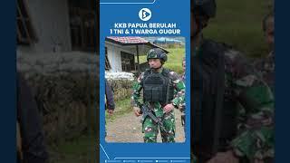 1 Prajurit TNI & 1 Warga Sipil Meninggal, KKB Kembali Berulah di Kabupaten Puncak