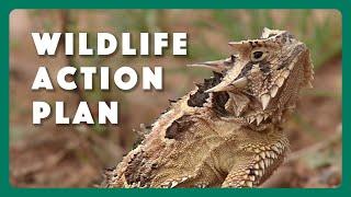 State Wildlife Action Plan for Texas