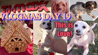 VLOGMAS DAY 19! CANELA IS HOME, SHOPPING + More!