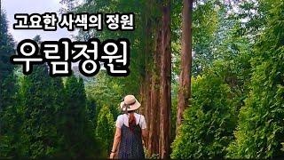 [충주 여행] 우림정원 메타세콰이어길 / 고요한 사색의 정원, 우림정원 / 수목원 식물원 카페 / 충청북도 제6호 민간 정원 / 입장료에  음료값이 포함(과일은 덤)