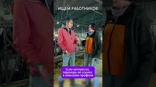 Ищем работников