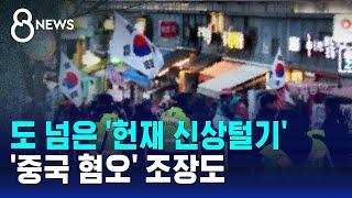 도 넘은 '헌재 신상털기'…'중국 혐오' 조장도 / SBS 8뉴스