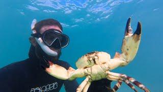 Catching Stone Crab By Hand - Catch & Cook