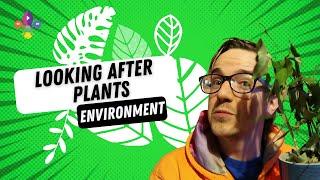 TOP TIPS on Looking After Plants | SCOUTADELIC #Scoutdoors