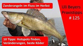 Zander angeln: 10 Tipps für Zander im Herbst im Fluss