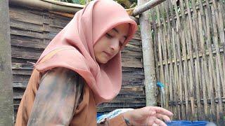 Gadis Desa Cantik Keturunan TURKI, Hidup Dengan Penuh Kesederhanaan || Indonesian Girl Rural Life