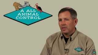 Start a Nuisance Wildlife Control Business