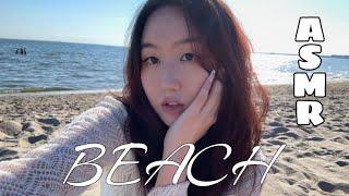Fufu Flutters ASMR at the BEACH!  lofi tapping, scratching & waves