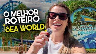 ROTEIRO COMPLETO SEAWORLD 2025 +  MELHORES MONTANHAS RUSSAS