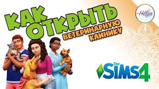 Sims 4  Как открыть ветеринарную клинику в Симс 4