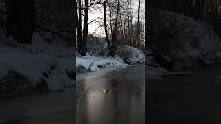 Moscow. Седая ночь кавер #shorts