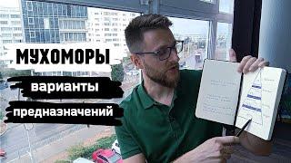 МУХОМОРЫ / Предназначение человека 2.0