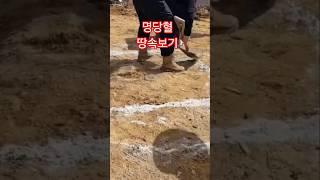 찐! 명당 땅속 확인하기 혈처 풍수 #풍수지리 #풍수인테리어 #부자