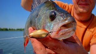 SV Fishing Lures 2013