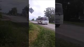 ПАЗ-320414-04 "Вектор" по маршруту №562л Здвинск-Барабинск-Куйбышев #transport