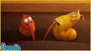 LARVA | STRANDED | CARTOON MOVIE FOR LIFE |THE BEST OF CARTOON | HILARIOUS CARTOON COMPILATION