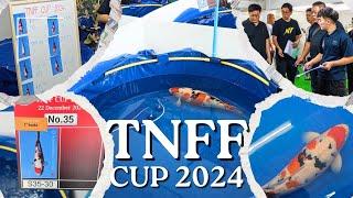 พาปลาคาร์พไปประกวดที่ Thai Nippon fish farm 2024