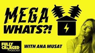 How to Build a Cheap Renewable Energy Future with Ana Musat | The Fully Charged Podcast