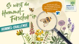 Hummel-Challenge: Mach mit! - So funktioniert die Challenge 