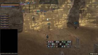 Lineage 2 INSANE PVP