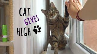 Cat Jonasek gives HIGH FIVE !