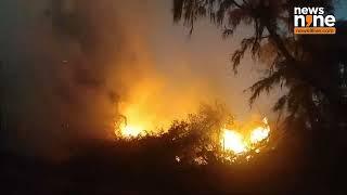 Gujarat : Massive Fire Breaks Out in Porbandar Forest | News9