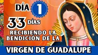 Dia1/VIRGEN DE GUADALUPE  33 de CONSAGRACIÓN para la LLUVIA DE BENDICIÓN  /hazla y verás