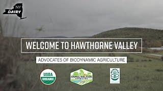 New York Dairy: Welcome to Hawthorne Valley Farm