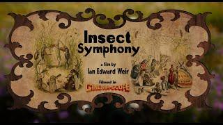 Insect Symphony - A film by Ian Edward Weir