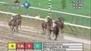 Bernardini - 2006 Jim Dandy Stakes