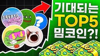 지금 주목할만한 밈코인 TOP5?!