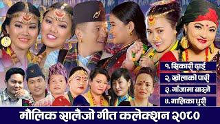 New Nepali Maulik Salaijo Music Video Collection 2080 | मौलिक सालैजो गीत कलेक्शन  २०८०