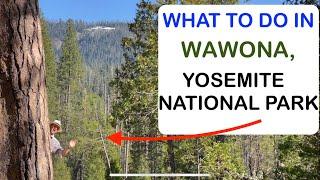 What to do in Wawona, Yosemite National Park (4K)