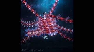 [Swallowed Star] Here comes Luo Feng's new battle armor of realm master Moyun Teng #luofeng