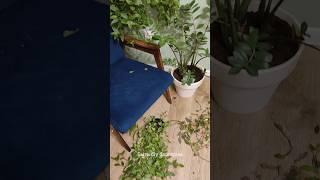 Это ожидание/реальность #diy #ремонтсвоимируками #переделкамебели