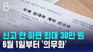 신고 안 하면 최대 30만 원…6월 1일부터 '의무화' / SBS 8뉴스