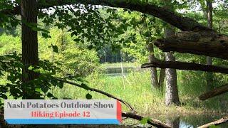 Ross Coastal Plain Marsh Preserve Trail in Covert, MI