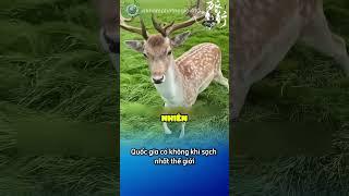 New Zealand - đất nước sạch nhất khiến cả thế giới ngưỡng mộ | Khám phá thế giới 410