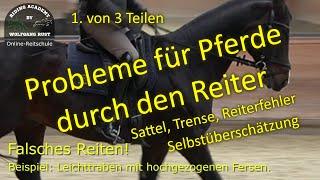 F124 1: Reiterfehler! Probleme die Pferde nicht hätten, wenn sie der Reiter nicht übertragen würde.