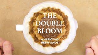 The Double Bloom Coffee Recipe: Master Your V60 in 3 Minutes