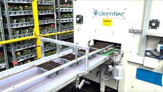 Transplanting Line for Packs and Marketing Trays - Rotomation - Urbinati - Demtec